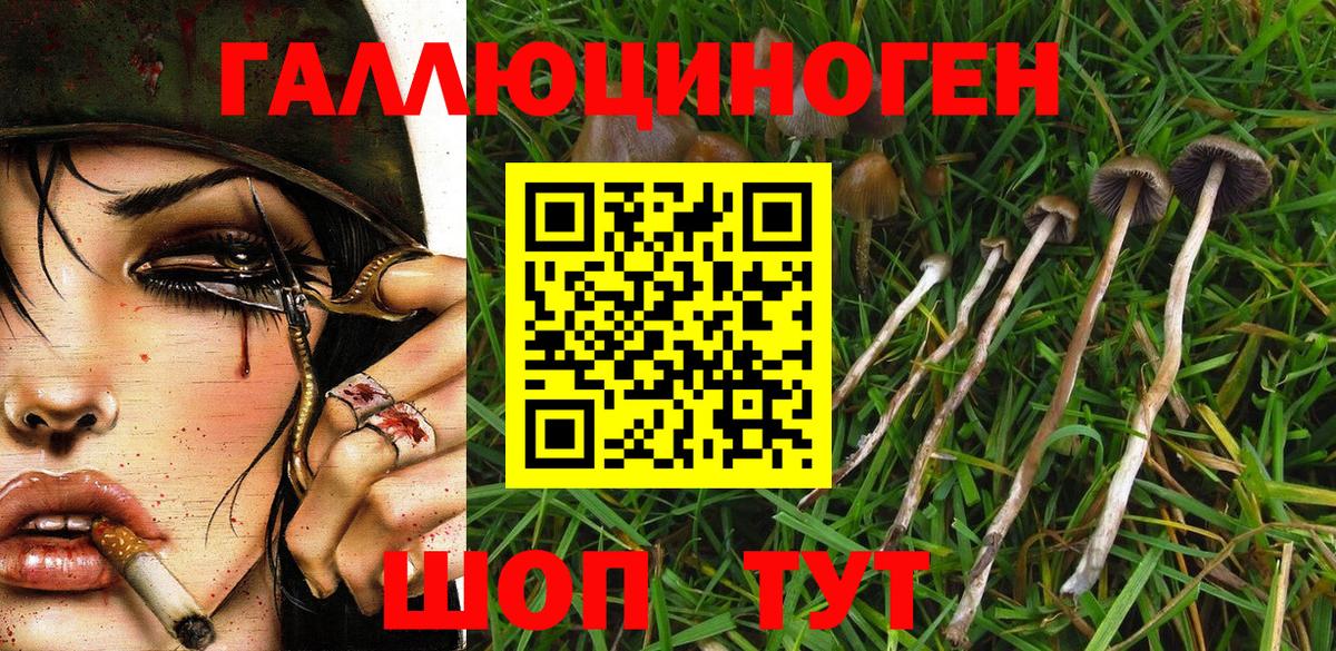 Псилоцибиновые грибы GOLDEN TEACHER Ивантеевка