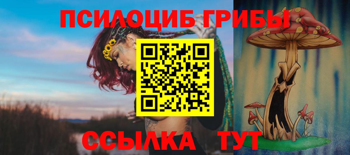 Псилоцибиновые грибы Psilocybe  Псилоцибиновые грибы ЛСД  Ивантеевка  Вход с VPN 